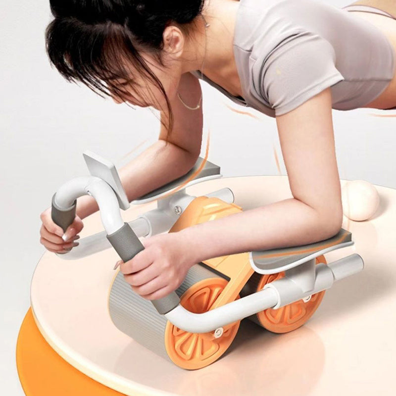 Danica Core Ab Roller Tone Sculpt Stability Trainer