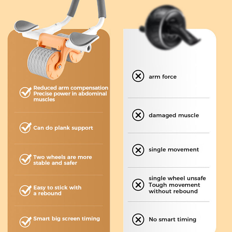 Danica Core Ab Roller Tone Sculpt Stability Trainer